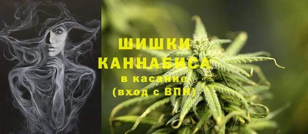 Альфа ПВП Магадан