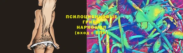 тгк Медвежьегорск