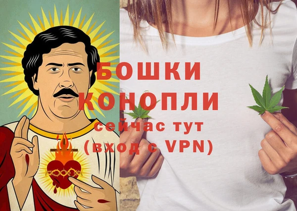 тгк Медвежьегорск
