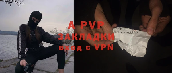 Альфа ПВП Магадан