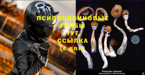 трава Магас