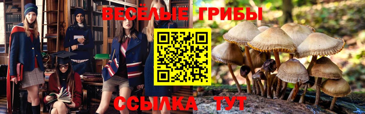 Каннабис  Дубна  COCAIN  Мефедрон  ГАШИШ  Мефедрон кристаллы  Вход с VPN  Гашиш  НБОМе 