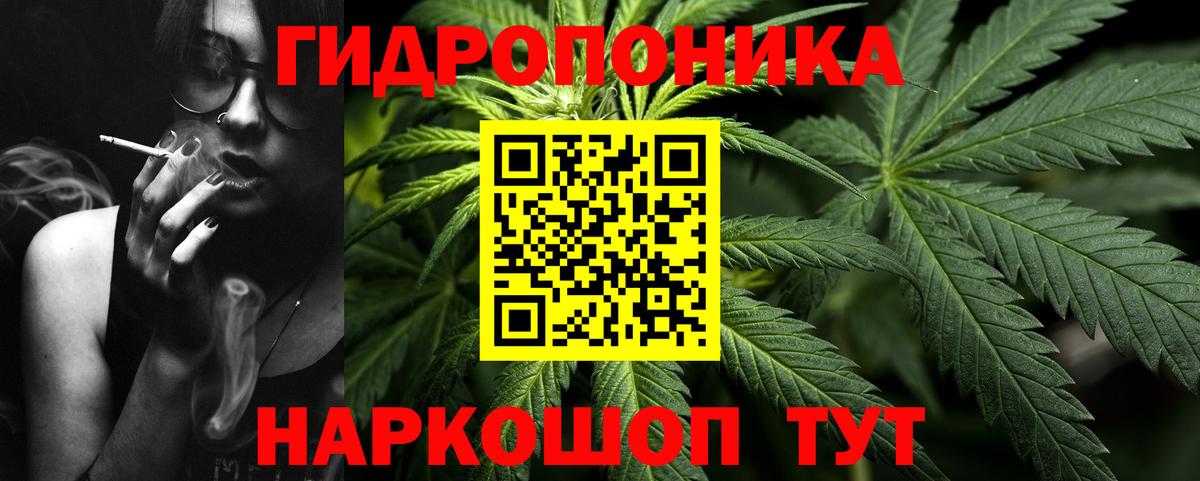 Бошки Шишки конопля Дубна